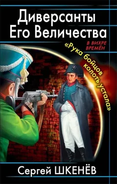 Андрей Саргаев Партизаны Е.И.В. обложка книги