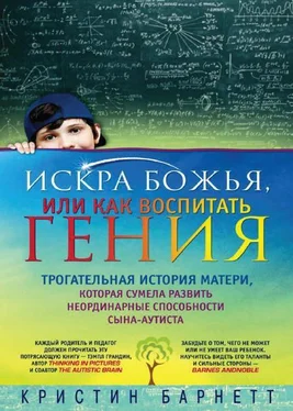 Кристин Барнетт Искра Божья, или Как воспитать гения обложка книги