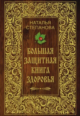 Наталья Степанова Большая защитная книга здоровья обложка книги