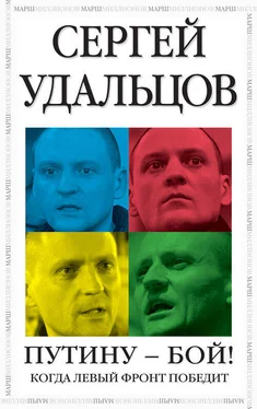Сергей Удальцов Путину – бой! обложка книги