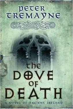 Peter Tremayne The Dove of Death обложка книги