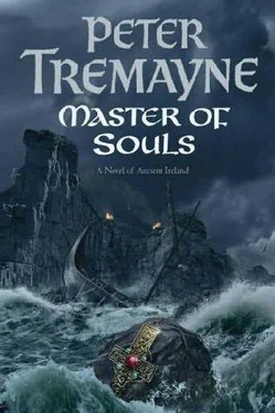 Peter Tremayne Master of Souls обложка книги