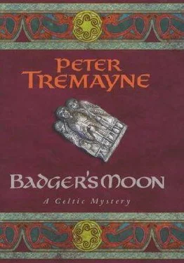 Peter Tremayne Badger's Moon обложка книги
