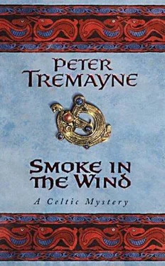 Peter Tremayne Smoke in the Wind обложка книги