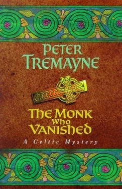 Peter Tremayne The Monk Who Vanished обложка книги