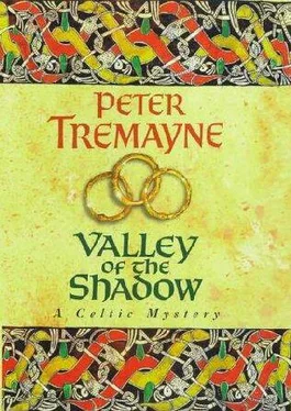 Peter Tremayne Valley of the Shadow обложка книги