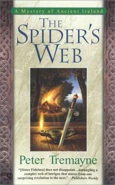 Peter Tremayne The Spider's Web обложка книги