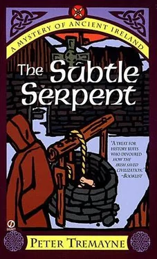 Peter Tremayne The Subtle Serpent обложка книги