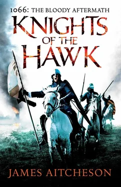James Aitcheson Knights of the Hawk обложка книги