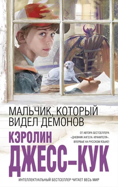 Кэролин Джесс-Кук Мальчик, который видел демонов обложка книги