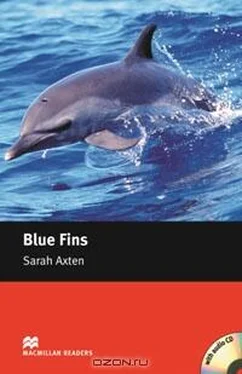 Sarah Axten Blue Fins обложка книги