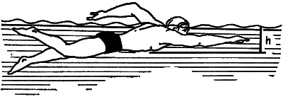 Гидростатическое давление возрастает по мере погружения Сравните толщину слоя - фото 11