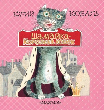 Юрий Коваль Шамайка – королева кошек обложка книги