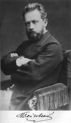 Александр Познанский - Чайковский