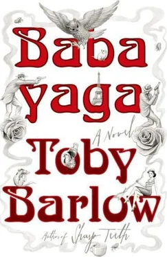 Toby Barlow Babayaga обложка книги