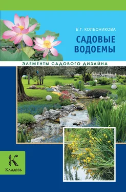 Елена Колесникова Садовые водоемы обложка книги