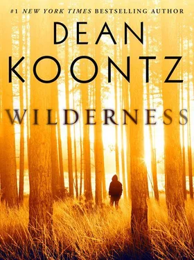 Dean Koontz Wilderness обложка книги