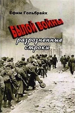 Ефим Гольбрайх Былой войны разрозненные строки обложка книги