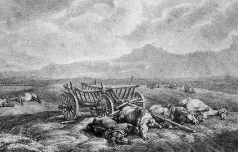 Мертвые лошади 29 июня 1812 г Худ Альбрехт Адам Трудные условия марша - фото 45