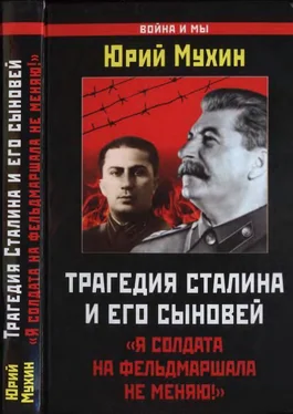 Юрий Мухин Трагедия Сталина и его сыновей обложка книги