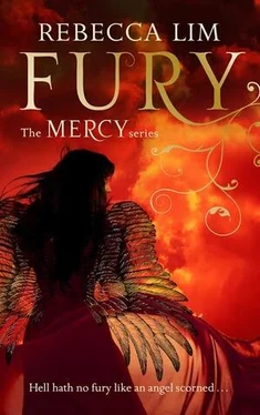 Rebecca Lim Fury обложка книги