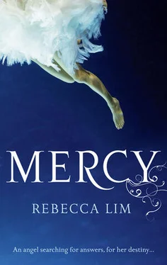 Rebecca Lim Mercy обложка книги