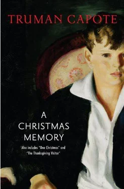 Truman Capote A Christmas Memory обложка книги