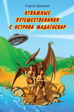 Сергей Данилин Отважные путешественники с острова Мадагаскар обложка книги