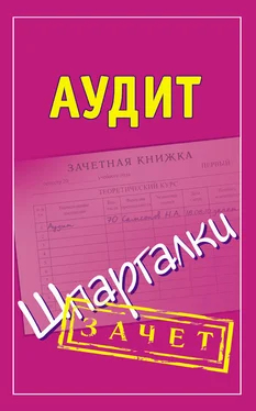 Николай Самсонов Аудит. Шпаргалки обложка книги