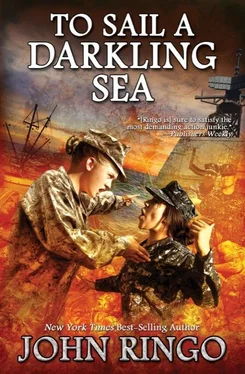 John Ringo To Sail a Darkling Sea обложка книги