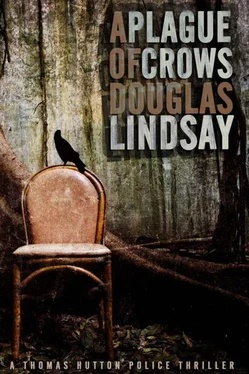 Douglas Lindsay A Plague Of Crows обложка книги