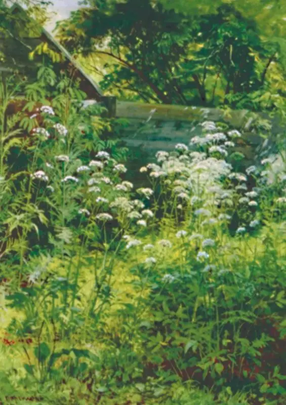 И И Шишкин Уголок заросшего сада Снытьтрава Этюд 1884 Третьяковская - фото 158