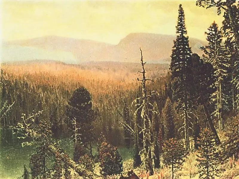 А М Васнецов Тайга на Урале Синяя гора 1891 Третьяковская галерея - фото 193