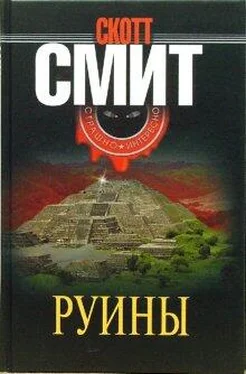 Скотт Смит Руины обложка книги