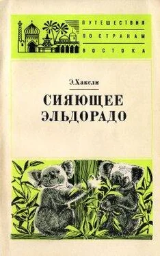 Элизабет Хаксли Сияющее Эльдорадо обложка книги