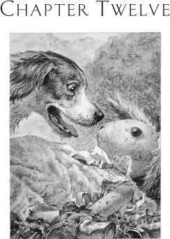EDWARD DID NOT HAVE MUCH TIME to savor the light for the dog suddenly appeared - фото 17