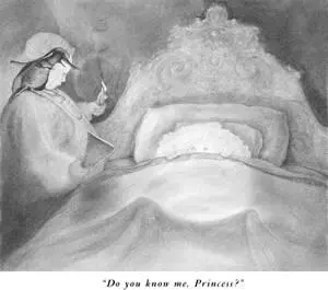 Look again Princess Or can you not bear to look Does it pain your royal - фото 57