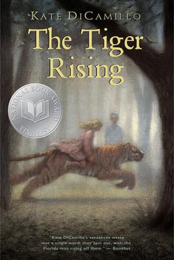 Kate DiCamillo The Tiger Rising обложка книги