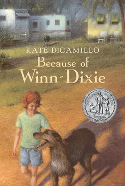 Kate DiCamillo Because of Winn-Dixie обложка книги