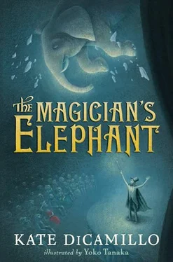 Kate DiCamillo The Magician's Elephant обложка книги