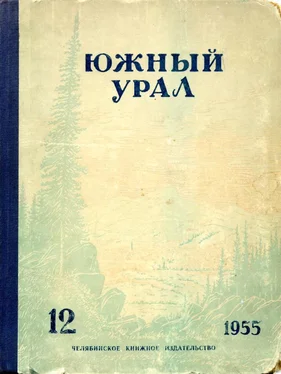 Семен Паклин Южный Урал, № 12 обложка книги