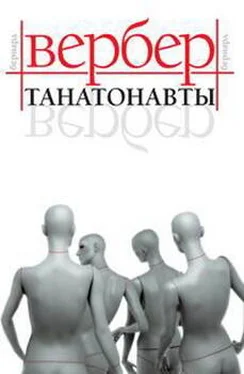 Бернард Вербер Танатонавты обложка книги