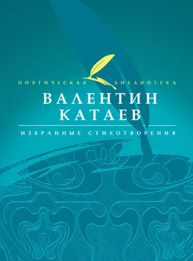 Валентин Катаев Избранные стихотворения обложка книги