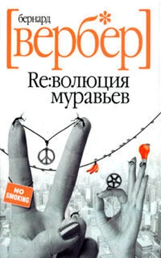 Бернард Вербер Революция муравьев обложка книги