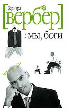 Бернард Вербер Мы, Боги обложка книги