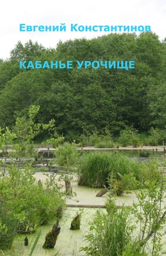 Евгений Константинов Кабанье урочище обложка книги