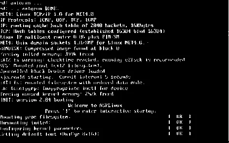 Рис 210 Процесс загрузки Linux После того как вы по центру экрана увидите - фото 10