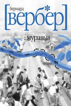 Бернард Вербер Муравьи обложка книги