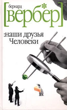 Бернард Вербер Наши друзья Человеки обложка книги