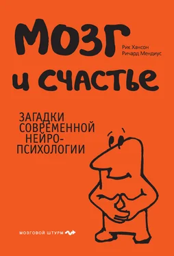 Рик Хансон Мозг и счастье. Загадки современной нейропсихологии обложка книги